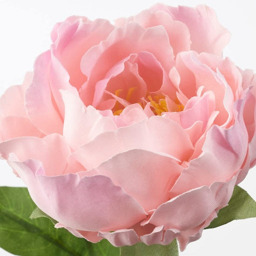 Digital Shoppy IKEA Artificial Flower, Peony/Pink, 30 cm (11 ¾ ")