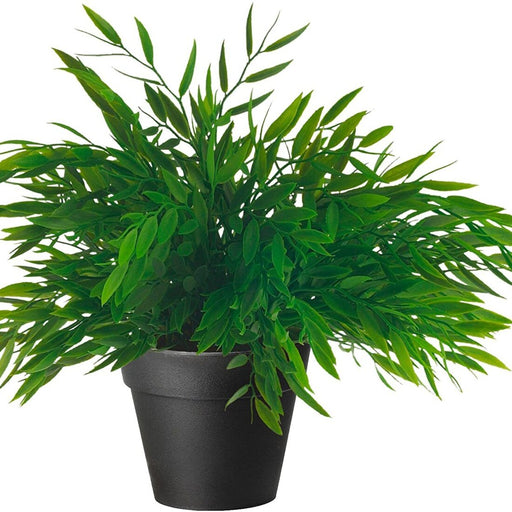 Digital Shoppy Realistic artificial Clusia plant with detailed green leaves and a 12 cm plastic pot, suitable for indoor or outdoor use from IKEA. 30191994